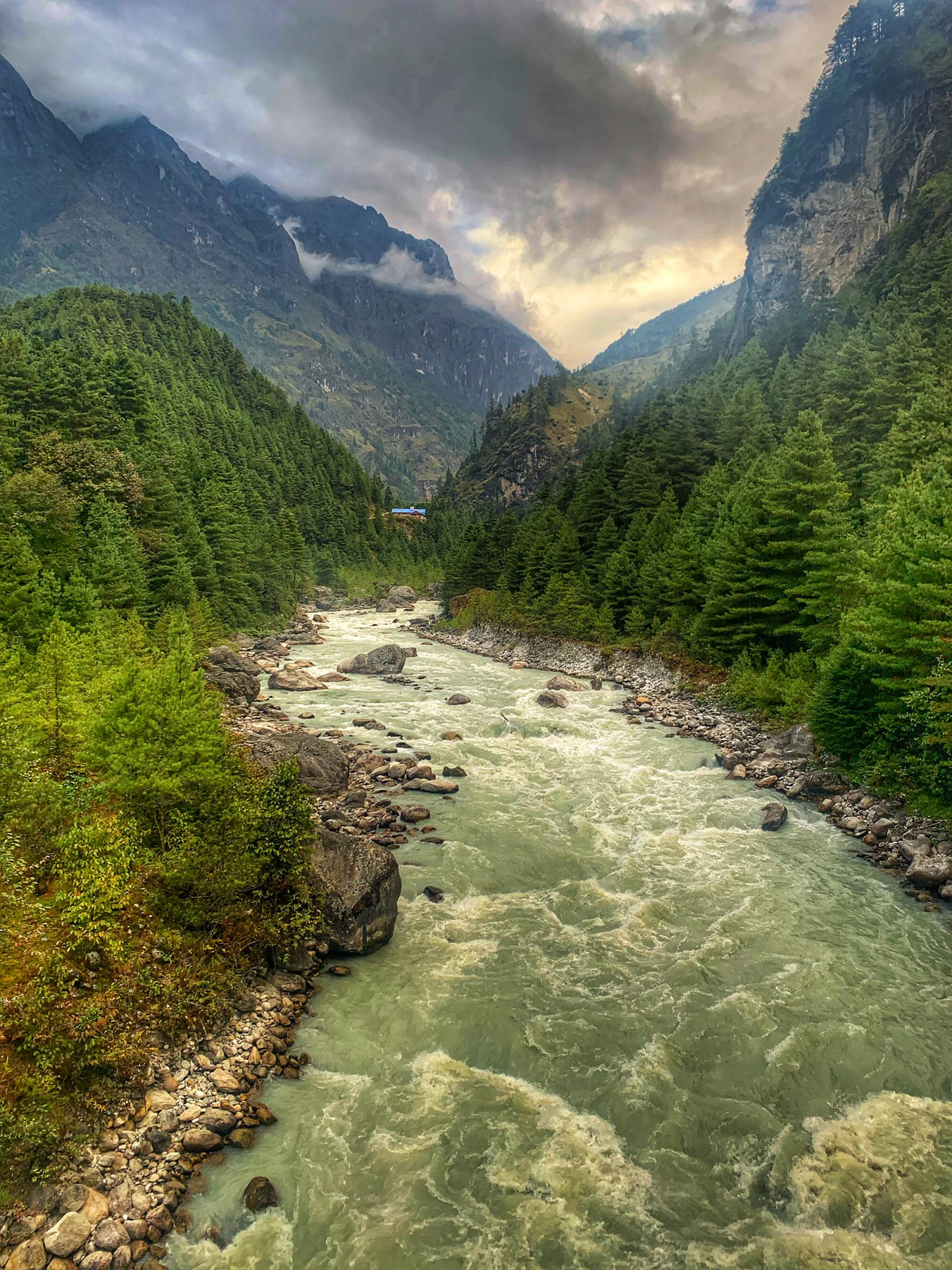 A river carves through a heavily tree-covered mountain valley, carrying glacial melt downstream.
