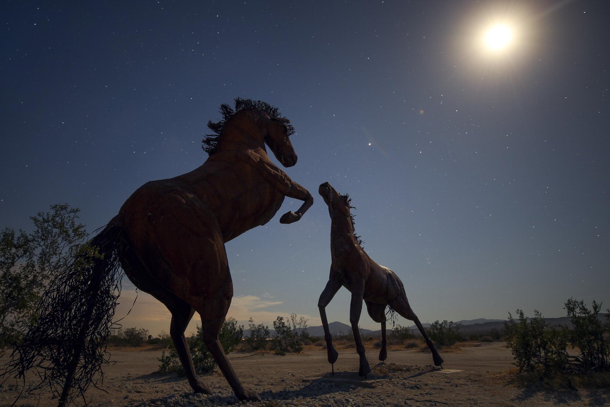 Metal sculptures of horses in the Borrego Springs area, under the moonlight in Borrego Springs.