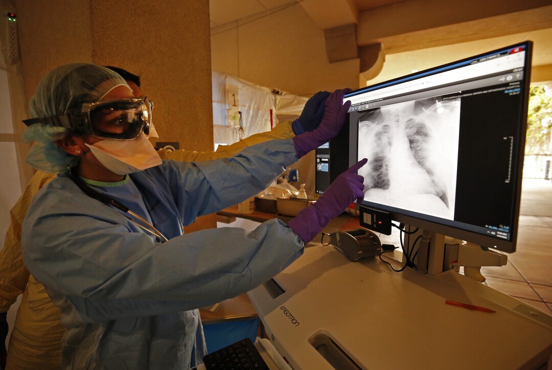 Dr. Lisa Dabby examines an X-ray