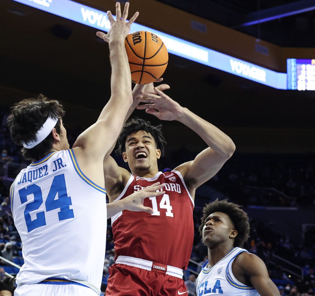 Stanford forward Spencer Jones, center, tries to shoot between UCLA guards Jaime Jaquez Jr. and David Singleton.