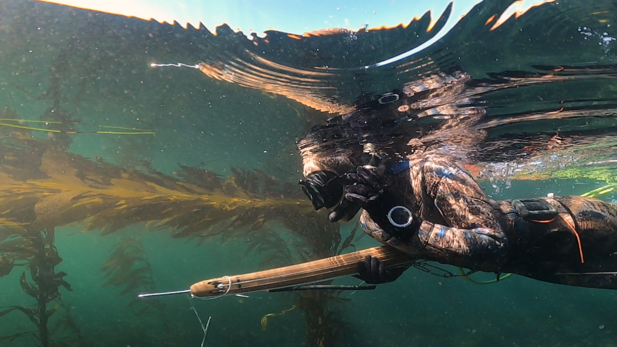 HOW TO: SPEARFISHING EQUIPMENT gear guide and overview 