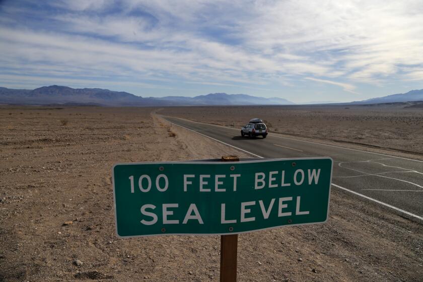 A sign saying "100 feet below sea level"