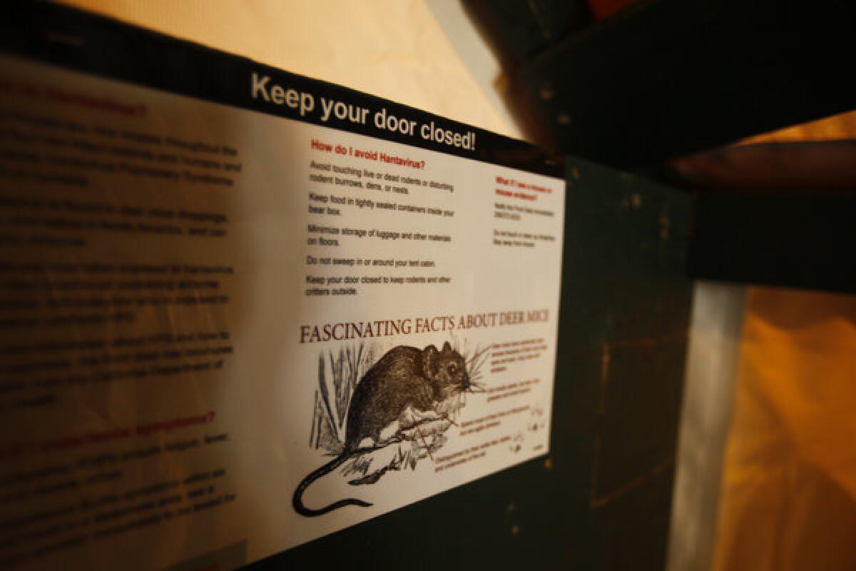 Educational placards about deer mice are mounted in the new tent cabins at Curry Village in Yosemite National Park.