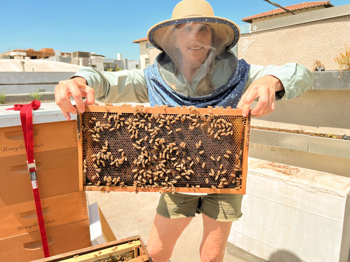 "Beekeeping suits are like mini-saunas," beekeeper Robin Jones said.