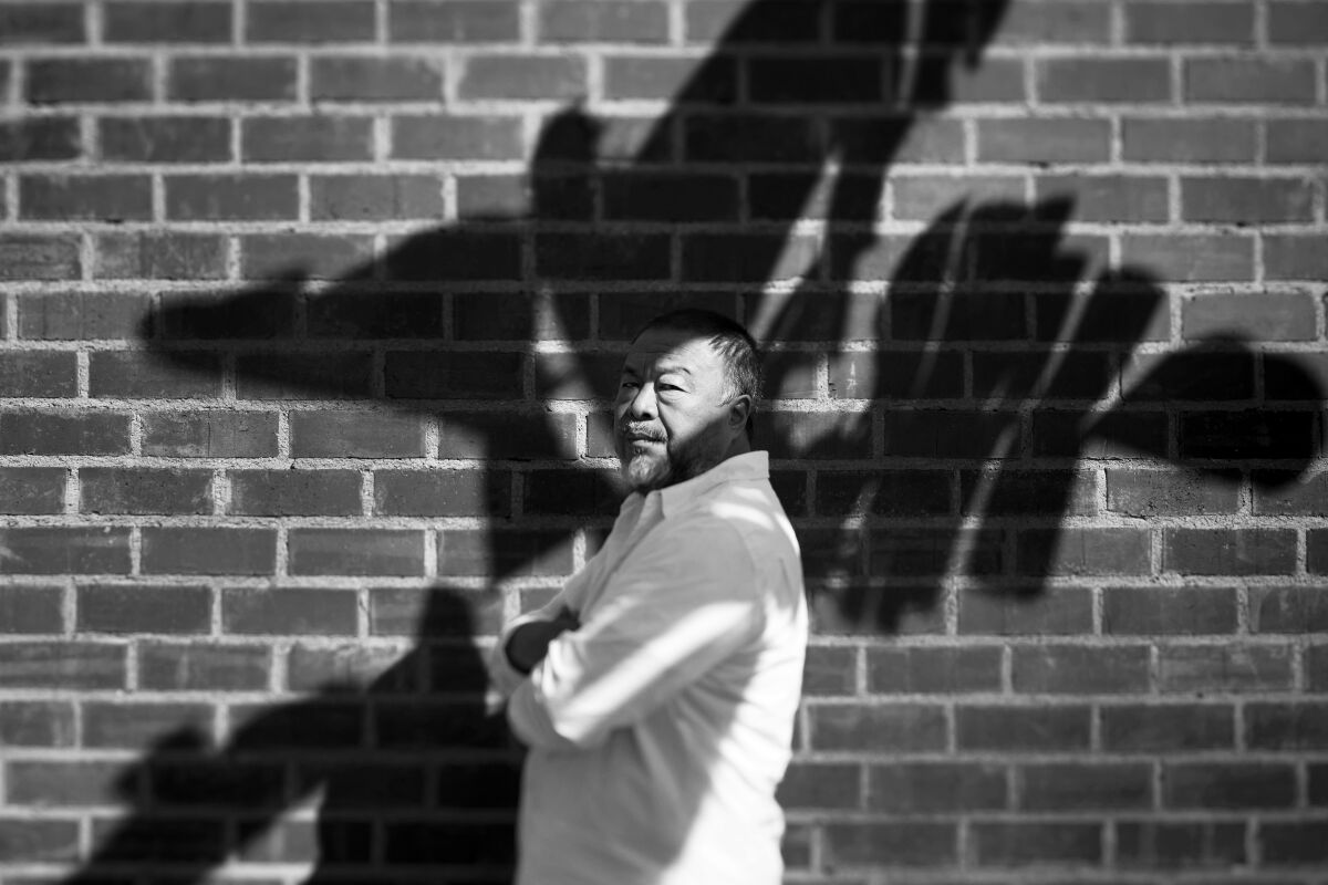 A portrait of artist Ai Weiwei with the shadow of a plant playing across his face.