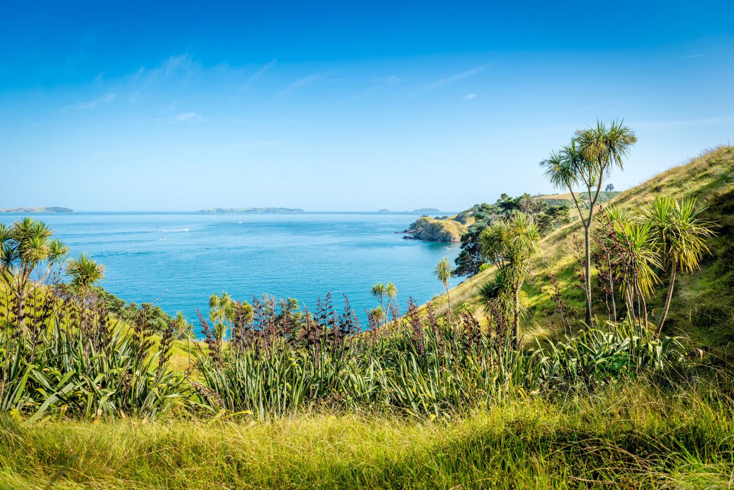 Hiking, restaurants, wineries and galleries make this location — a 45 minute ferry fride from Auckland — ideal for tourists. A walking track around the island takes an estimated five days and you can experience the atmosphere at your own pace.