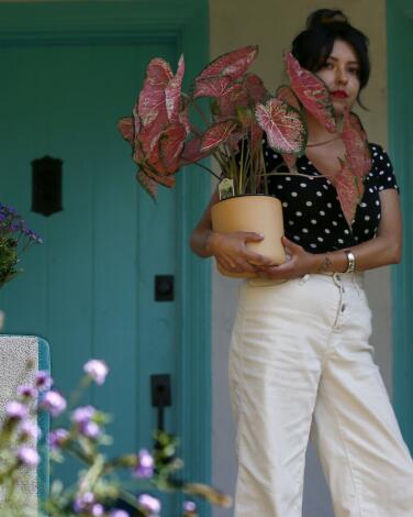 LOS ANGELES, CALIF. - MAY 23, 2020. Andrea Ramirez, creator of @latinxwithplants on Instagram, has a plant sale pop up every Saturday and Sunday at her house in Boyle Heights. (Luis Sinco/Los Angeles Times)