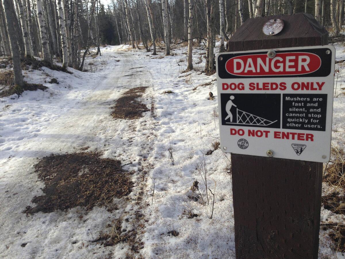 Bare patches of grass and mud on sled dog trails in Anchorage, Alaska.