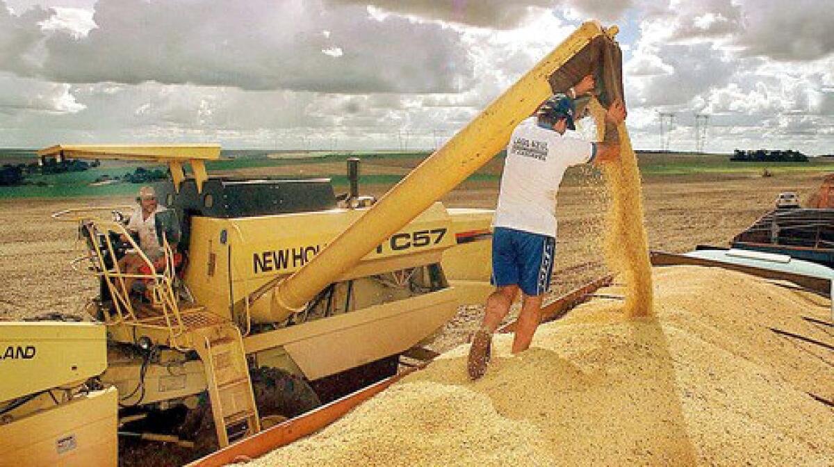 A truck is loaded with soybeans at a farm in the southern Brazilian province of Parana in this May 2003 photo.