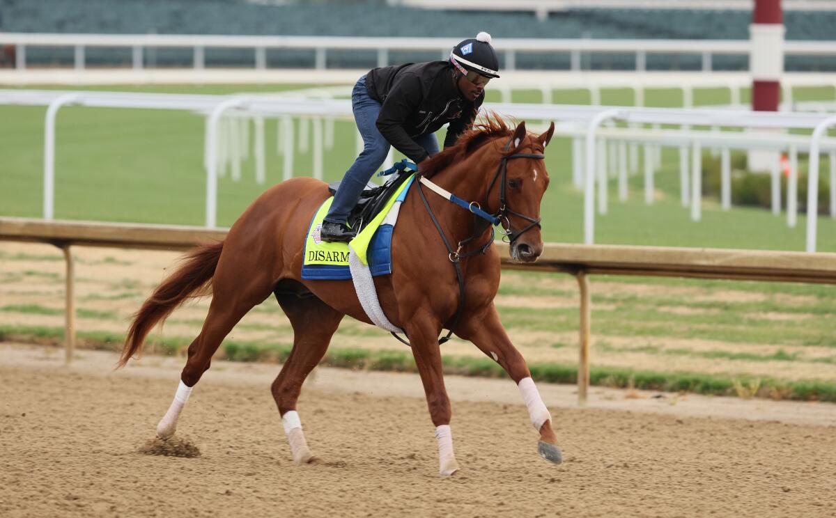 Disarm runs on the track during a morning workout at Churchill Downs on April 29.