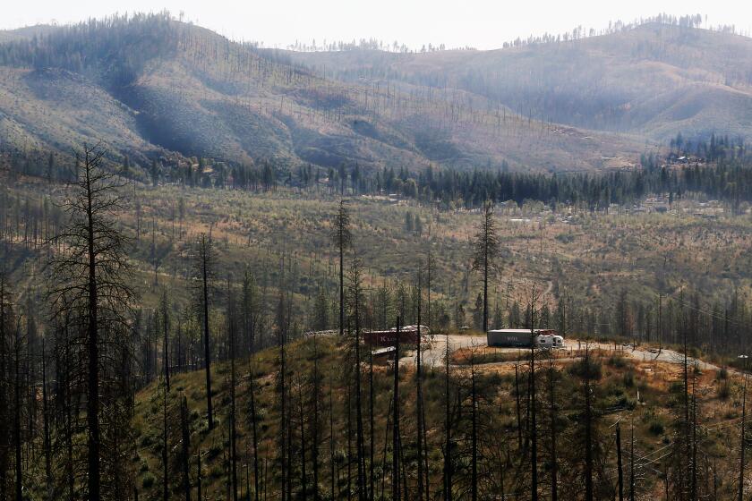 CONCOW, CA - OCT. 21, 2020. The landscape around the unincorporated Butte County community of Concow was charred by te te Camp fire in 2018. The fire was started by a faulty electrical transmission line and burned 153,336 acres. It is the costliest fire in history, causing $16.65 billion in damage,. Eighty-five people died. (Luis Sinco / Los Angeles Times)