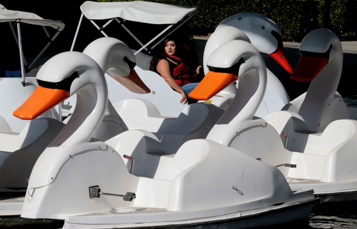 A woman navigates a swan boat in Rainbow Lagoon in Long Beach.