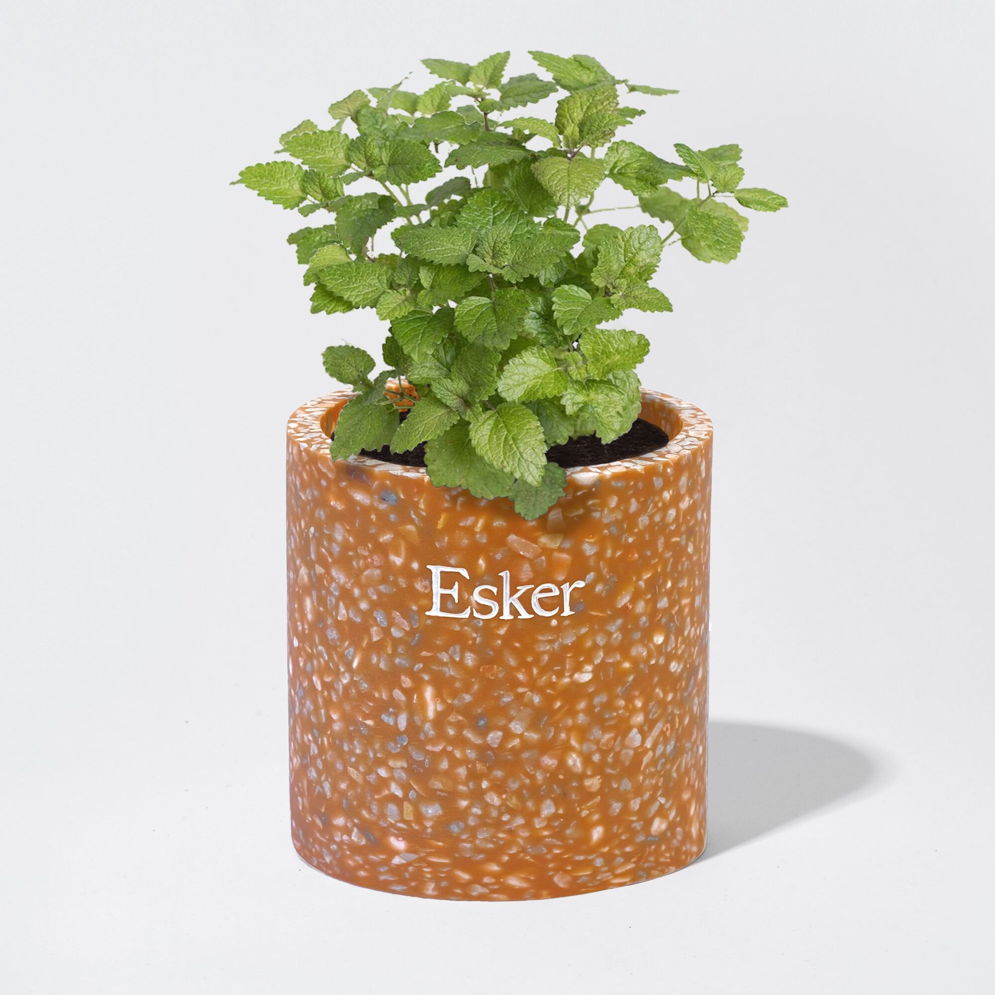 Coveted for December 2022, Image magazine-- Esker plantable candle