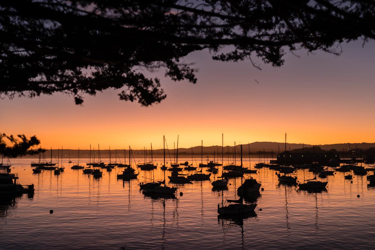 The sun rises over the waterfront in Monterey.