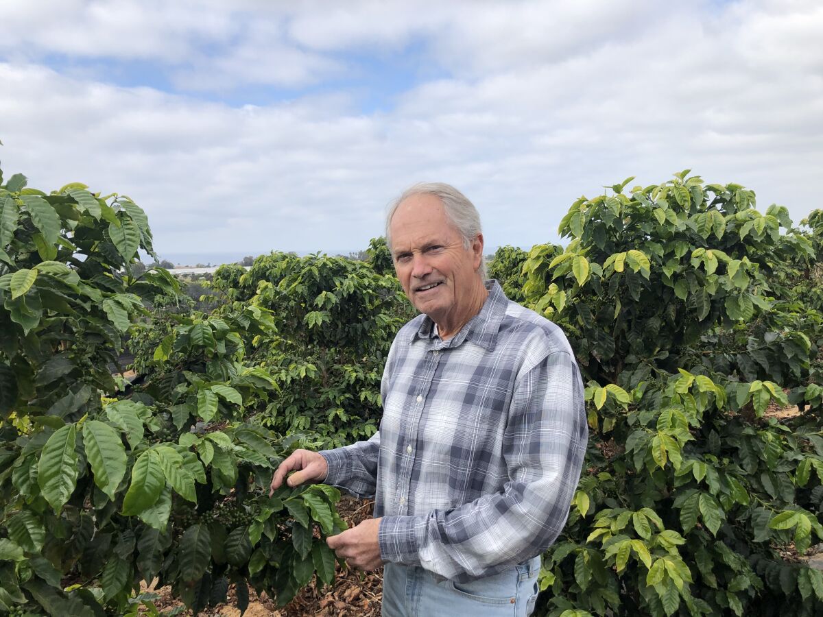 Quail Haven Farm Owner Chris Calkins