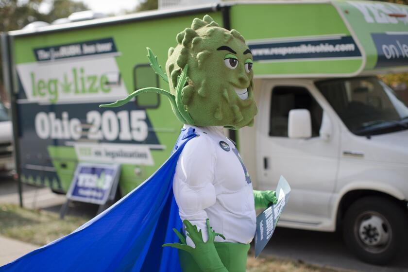 Buddie, the mascot for the pro-marijuana legalization group ResponsibleOhio, waits to greet passing college students during a promotional tour stop at Miami University in Oxford, Ohio.