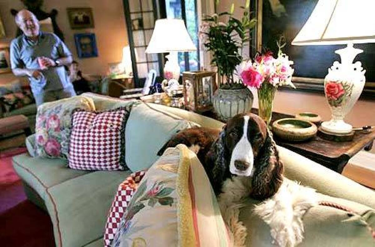 David and Jamie Wolf watch as springer spaniel Alice lounges on a sofa strewn with overstuffed pillows in the living room.