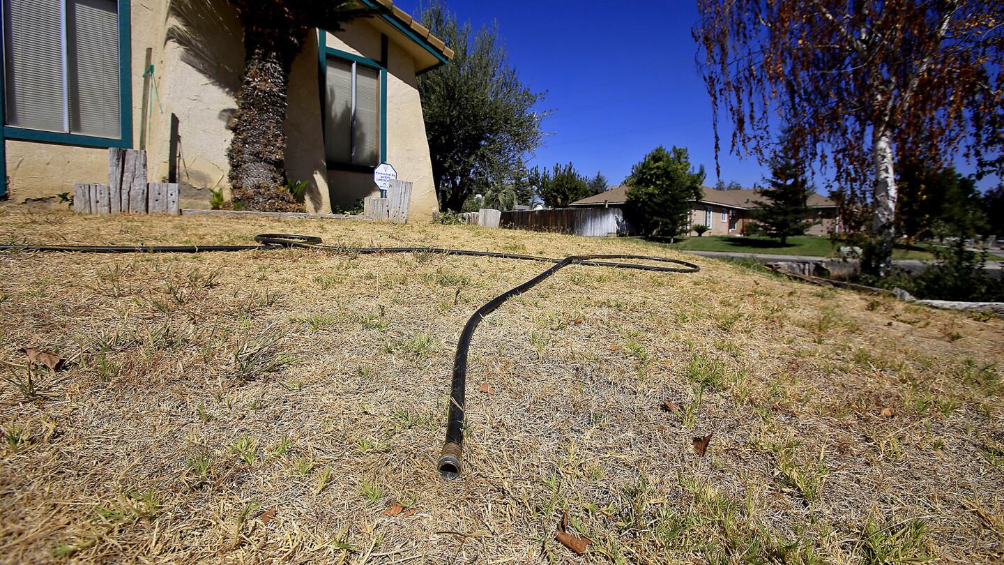 Parched in Parkwood, Calif.