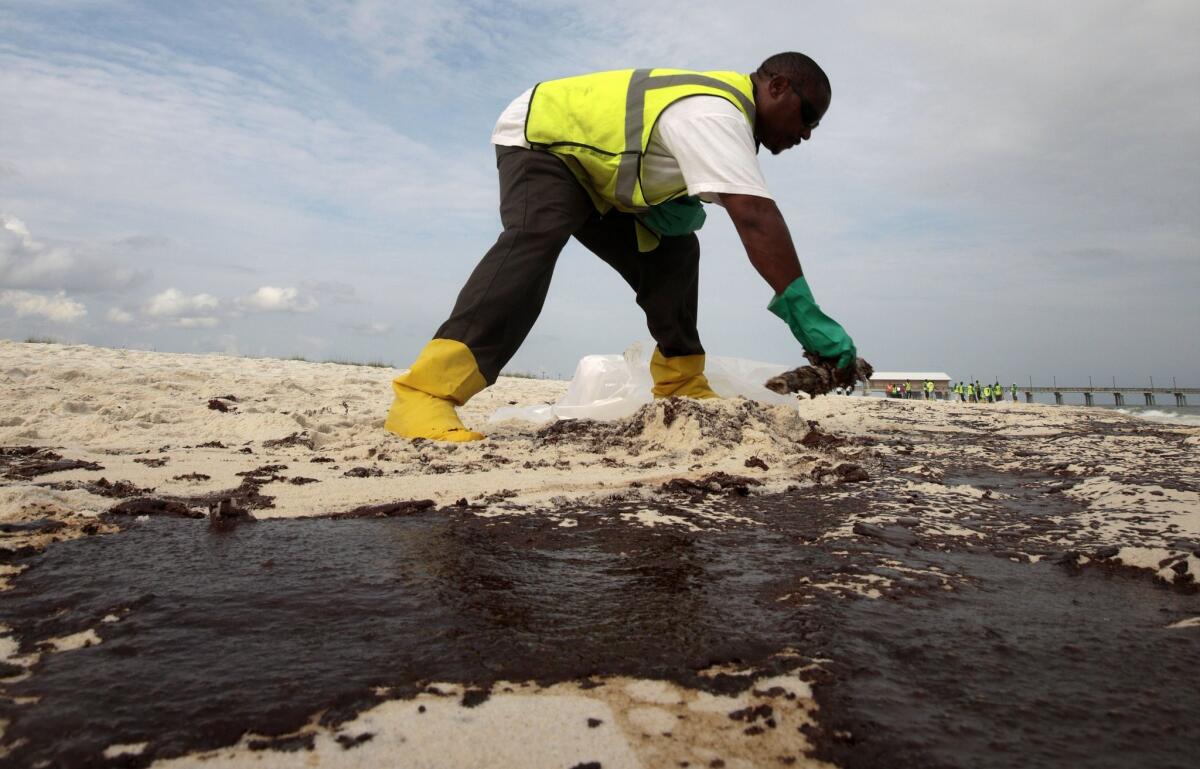 Oil that coated Gulf of Mexico beaches from the BP oil spill in 2010 changed the composition of microbes in sands, a new study found. Here, a cleanup worker scrapes away oil in Gulf Shores, Ala.