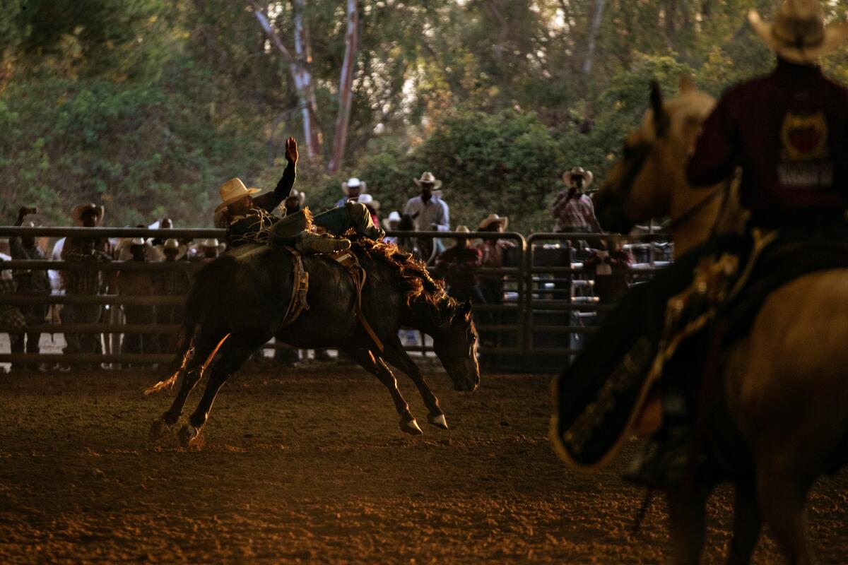 A cowboy holds onto a horse at a rodeo.