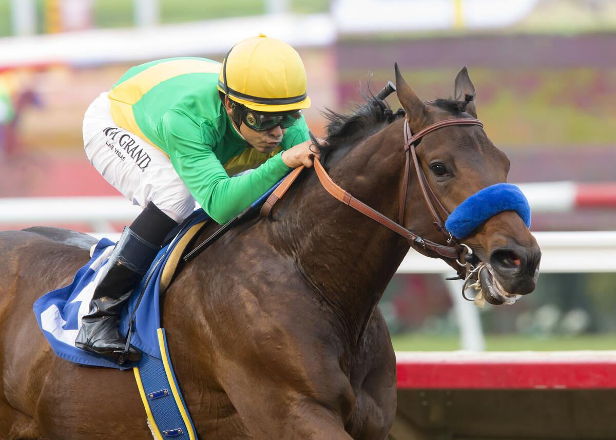 Mastery and jockey Mike Smith win the Bob Hope Stakes on Nov. 19 at Del Mar.