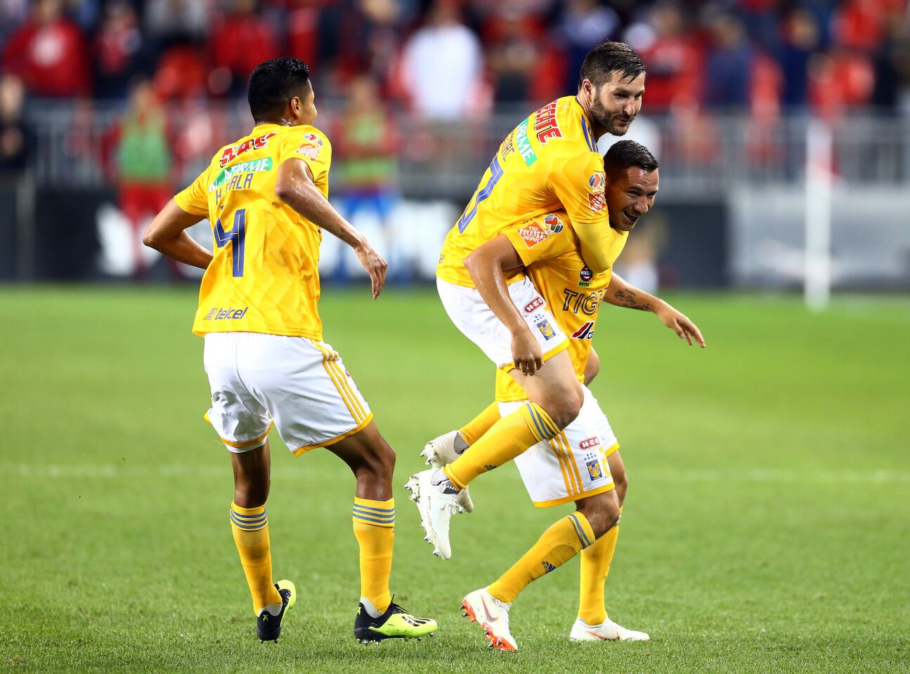 TORONTO, ON - SEPTEMBER 19: Jesús Dueñas #29 of Tigres UANL celebrates a goal with André-Pierre Gignac #10 during the second half of the 2018 Campeones Cup Final against Toronto FC at BMO Field on September 19, 2018 in Toronto, Canada. (Photo by Vaughn Ridley/Getty Images) ** OUTS - ELSENT, FPG, CM - OUTS * NM, PH, VA if sourced by CT, LA or MoD **