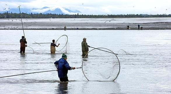 Combat fishing