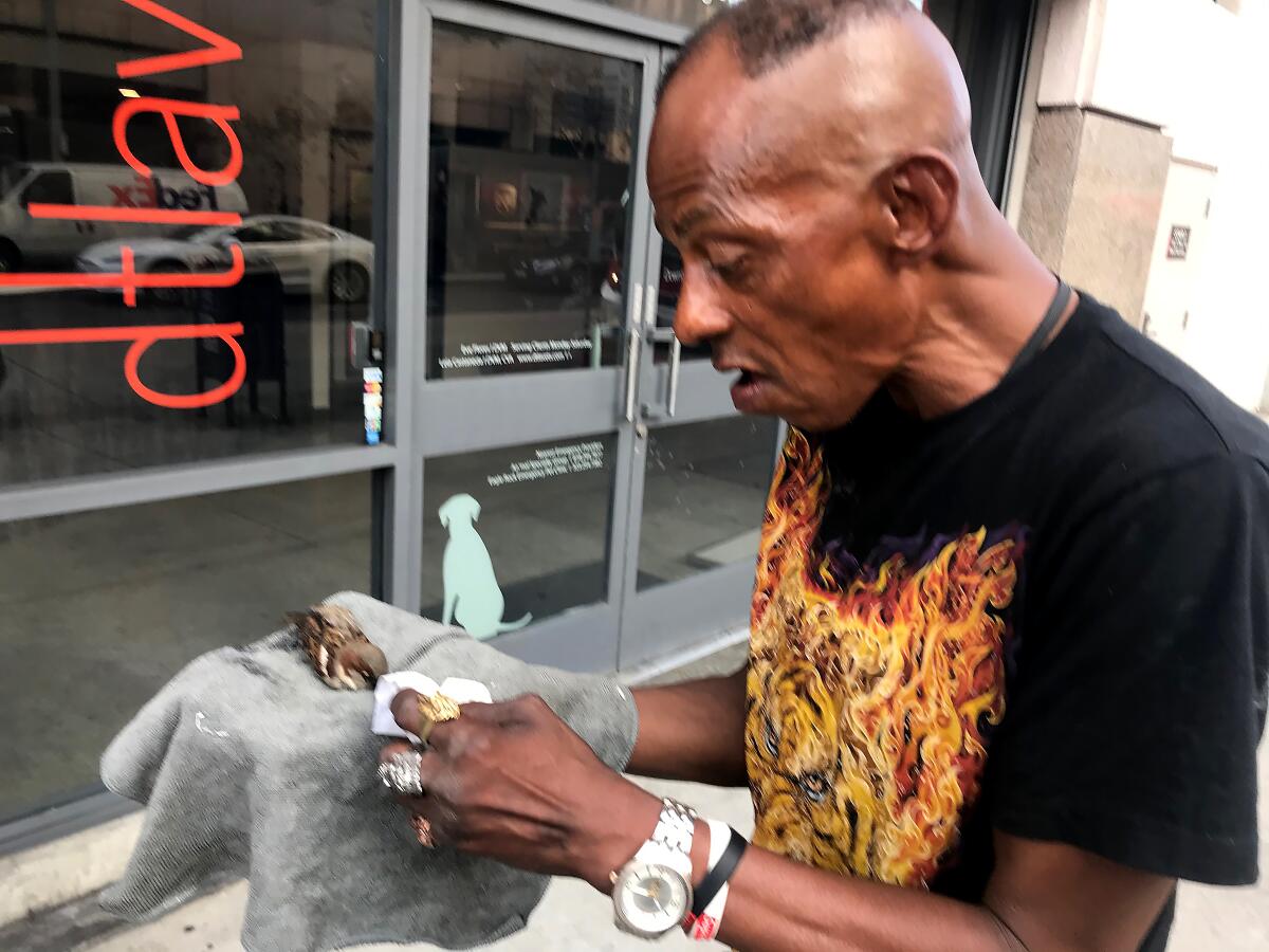 Brian Cook, the bird man of skid row, on his way to the vet with the sparrow that got caught in a rat trap outside his tent.