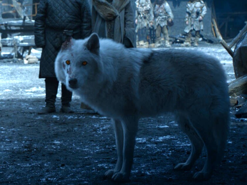 Game Of Thrones So Is That It For The Direwolves Los Angeles Times
