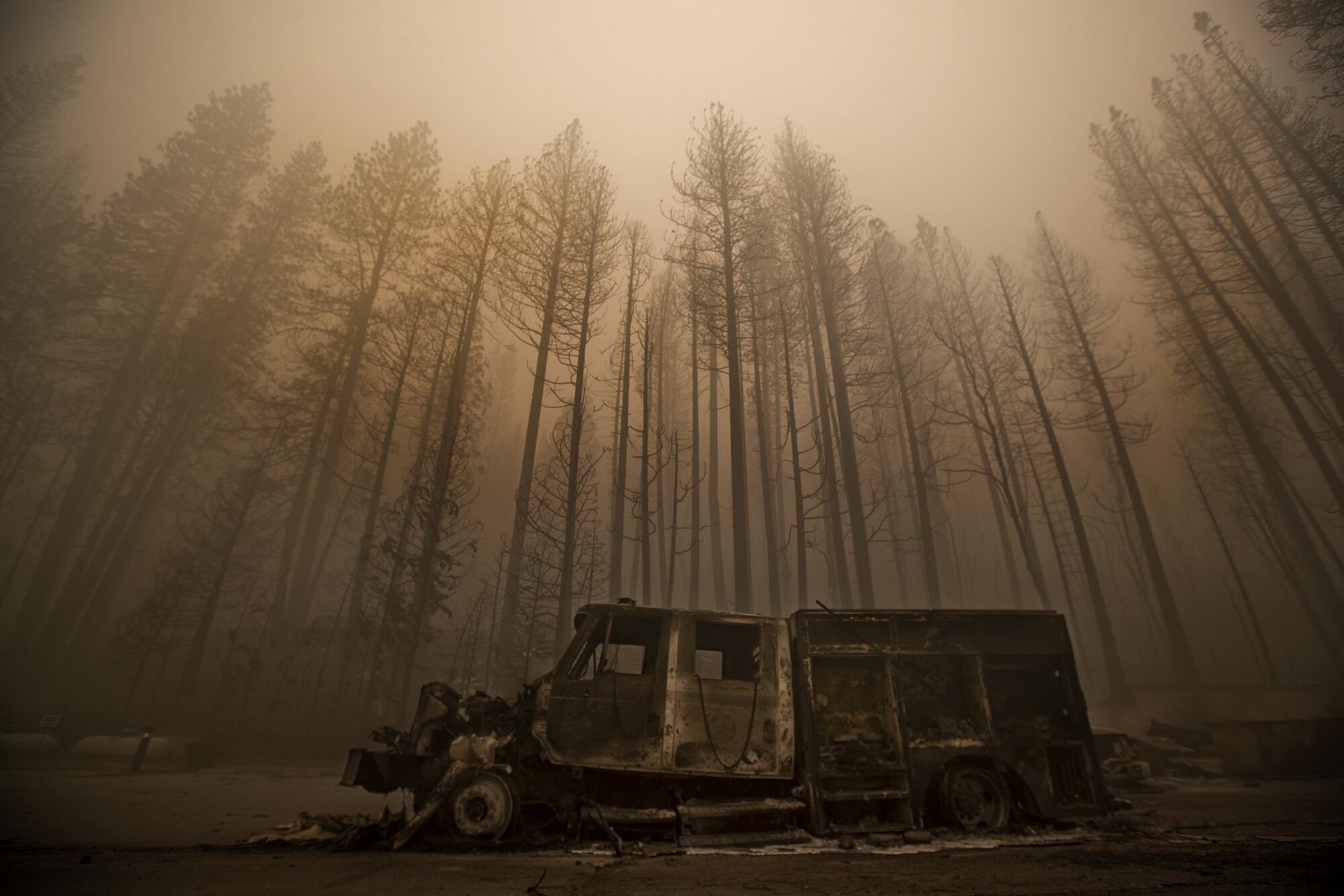  Burned trees rise above a truck destroyed by the Dixie Fire in the town of Greenville. 
