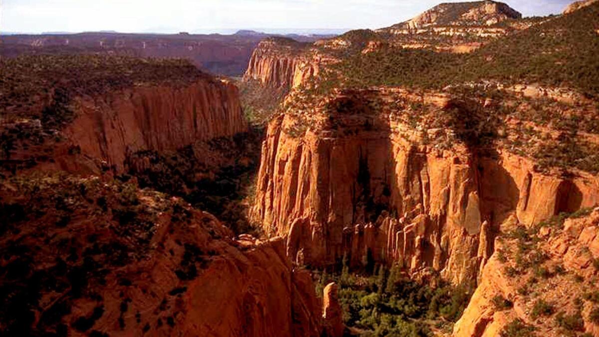 The Upper Gulch section of the Escalante Canyons within Utah's Grand Staircase-Escalante National Monument. Outdoor clothing giant Patagonia and other retailers are battling over President Trump's plan to shrink two sprawling Utah national monuments.