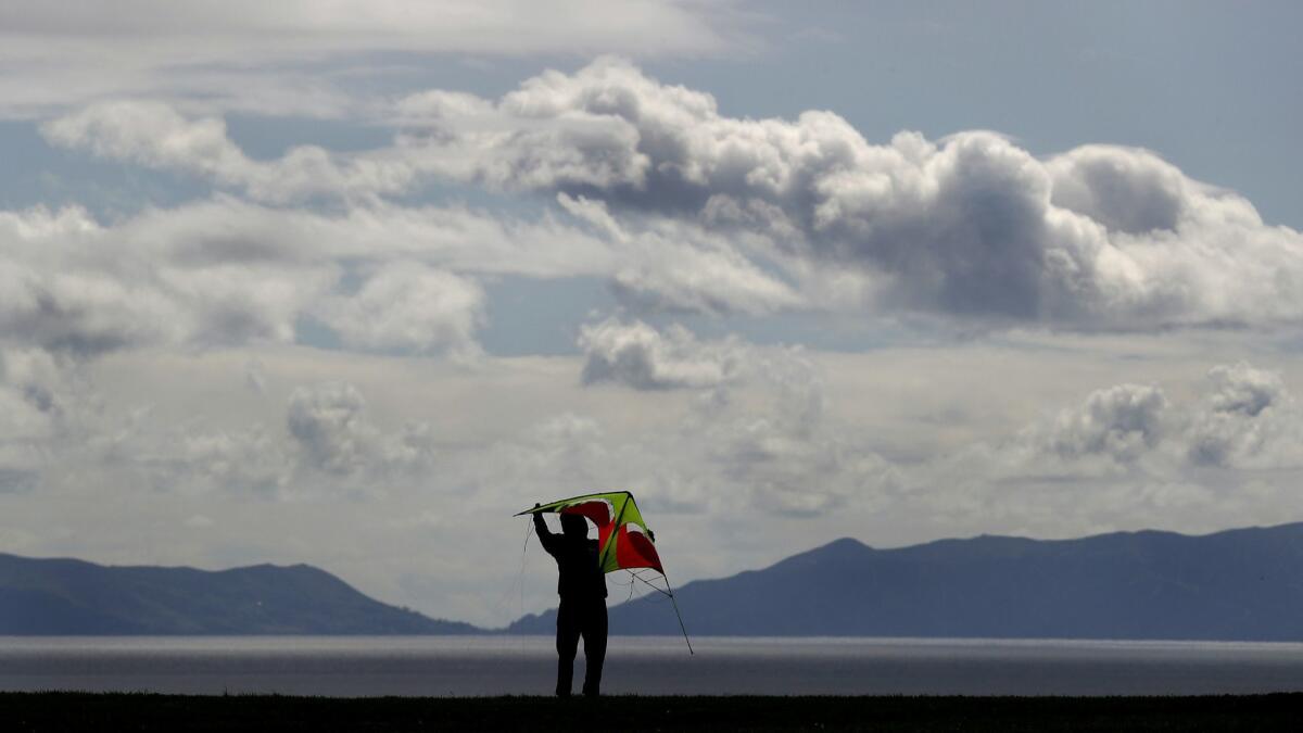 Ted Rivera prepares to fly a kite on a cloudy and breezy day at Angels Gate Park in San Pedro.