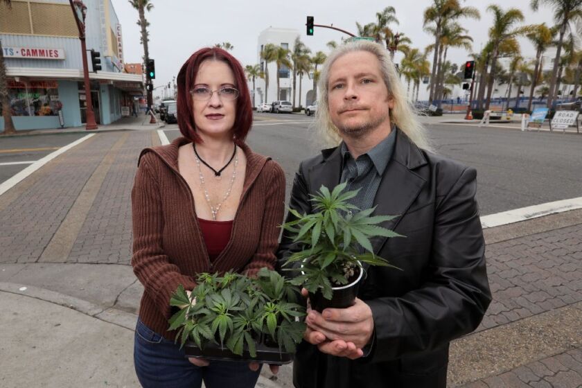 Portrait of Oceanside residents David and Amber Newman on Coast Highway at Pier View Way in Oceanside, holding marijuana plants from their nursery named, "A Soothing Seed." They're planning a ballot initiative to overturn the City's ban on medical marijuana dispensaries.
