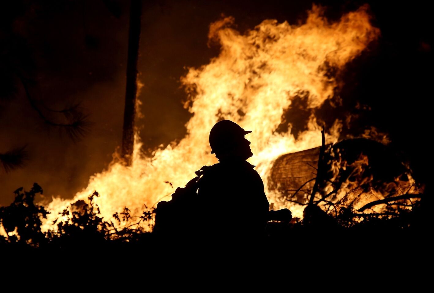 A firefighter monitors the King Fire as it burns through brush.