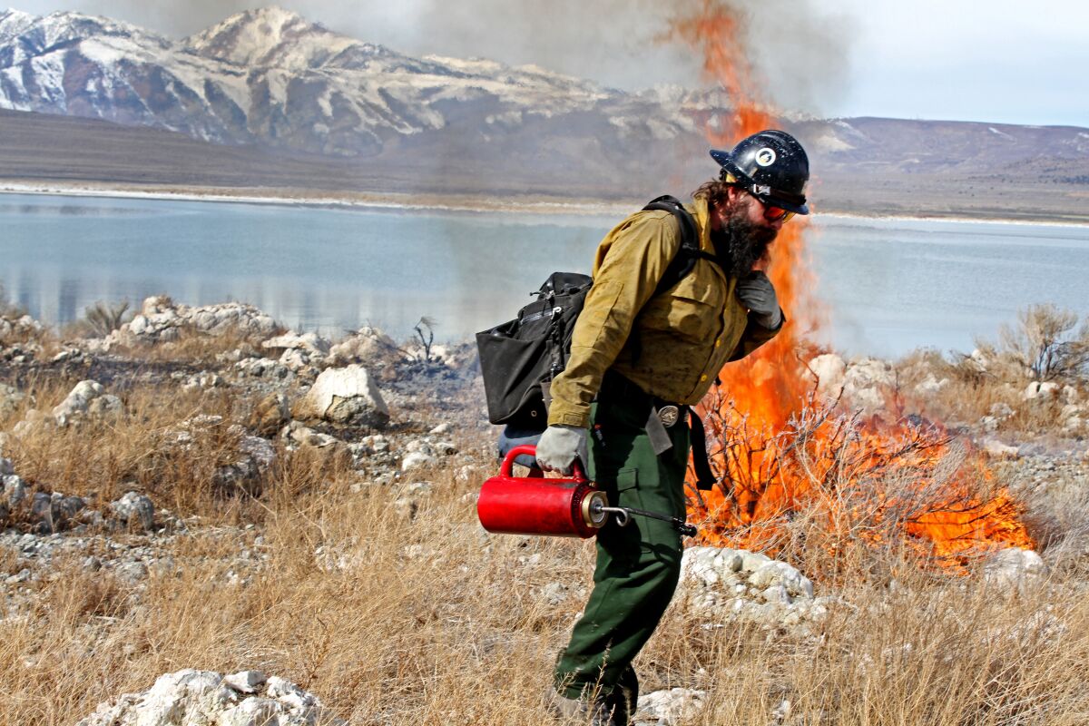 Jeff Karl, a forestry technician for the Inyo National Forest, oversaw a prescribed burn by federal firefighters Saturday on Twain Island at Mono Lake.