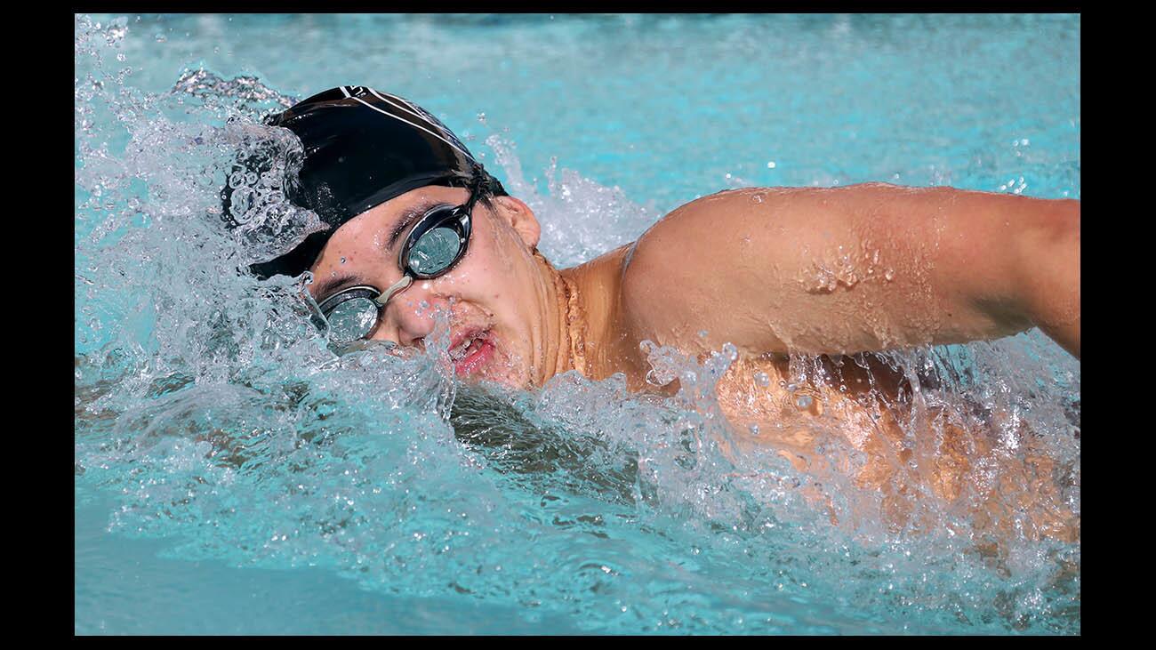 Photo Gallery: Glendale High swimming vs. Burroughs High