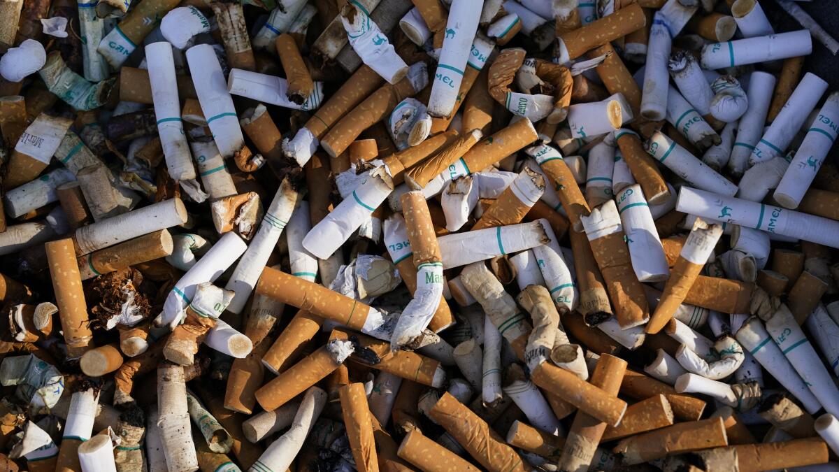 a lot of cigarettes Nervous man smoking a lot of cigarettes at once Stock Photo A bunch of cigarettes that