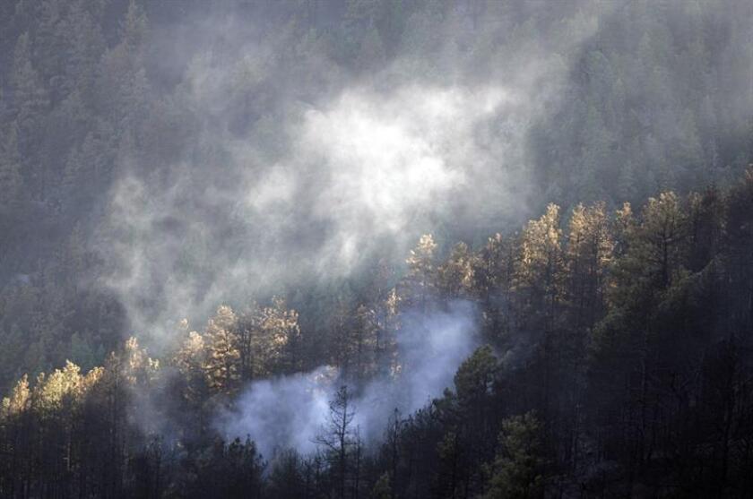 Un danés, cuya situación migratoria es irregular, enfrenta 141 cargos por causar de manera negligente uno de los mayores incendios forestales en la historia de Colorado, que aún sigue ardiendo en el sur de este estado, informaron hoy las autoridades. EFE/ARCHIVO