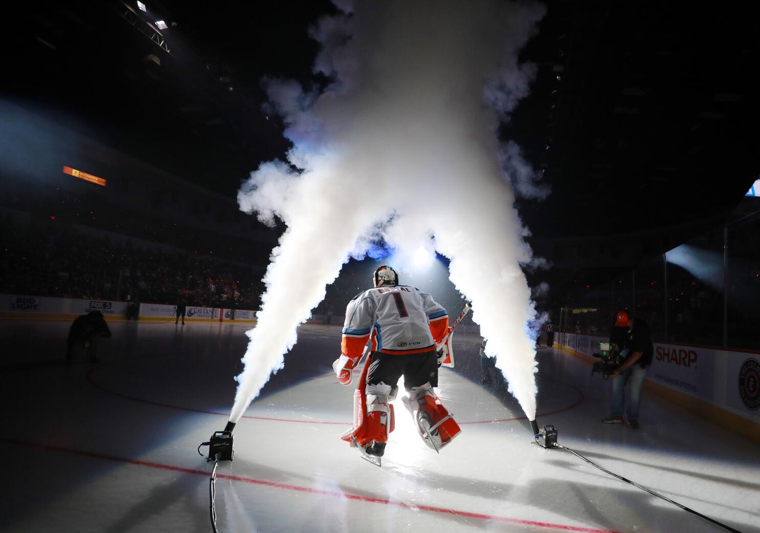 San Diego Gulls Hockey Club Home