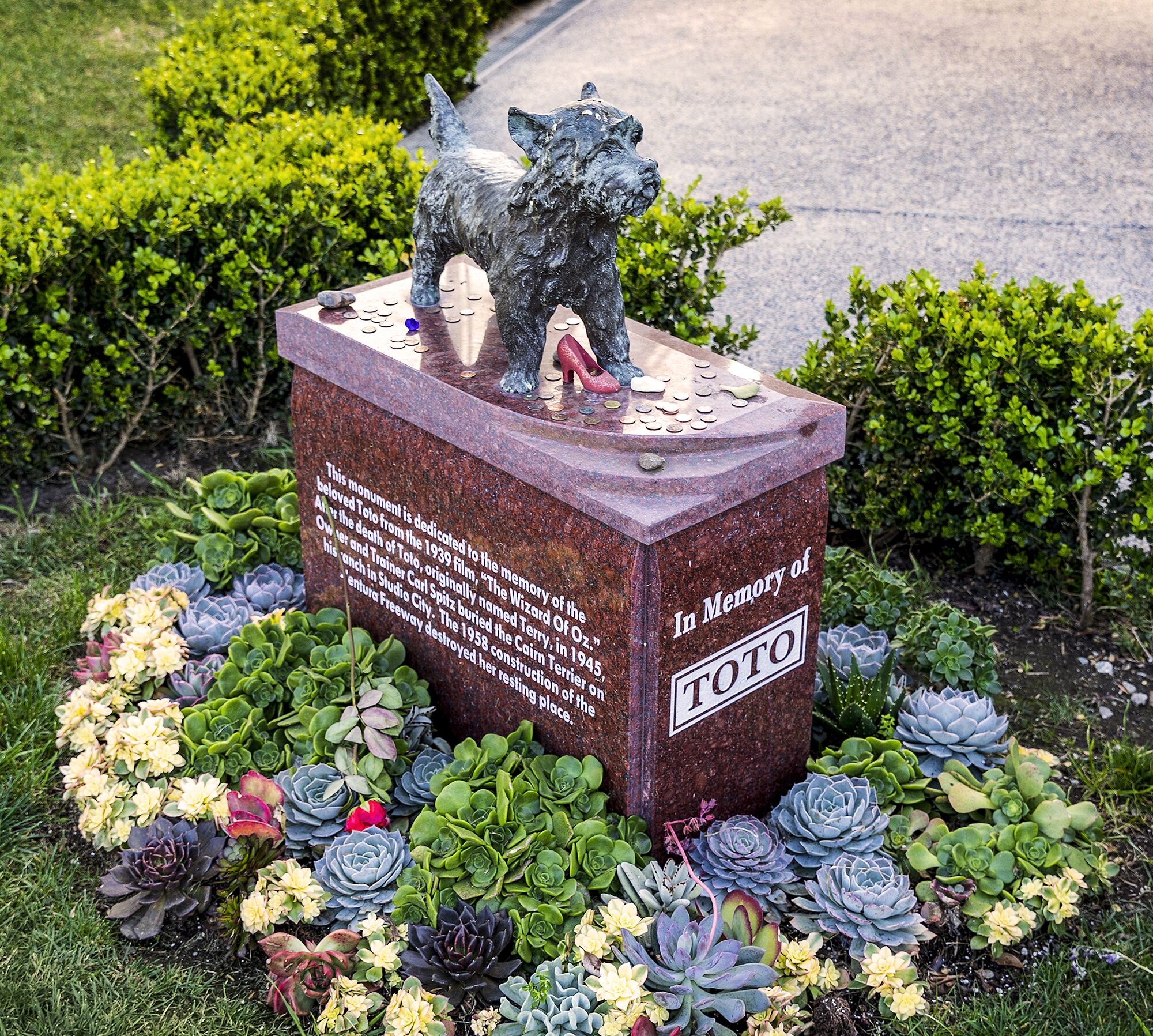 Toto's memorial at Hollywood Forever Cemetery.