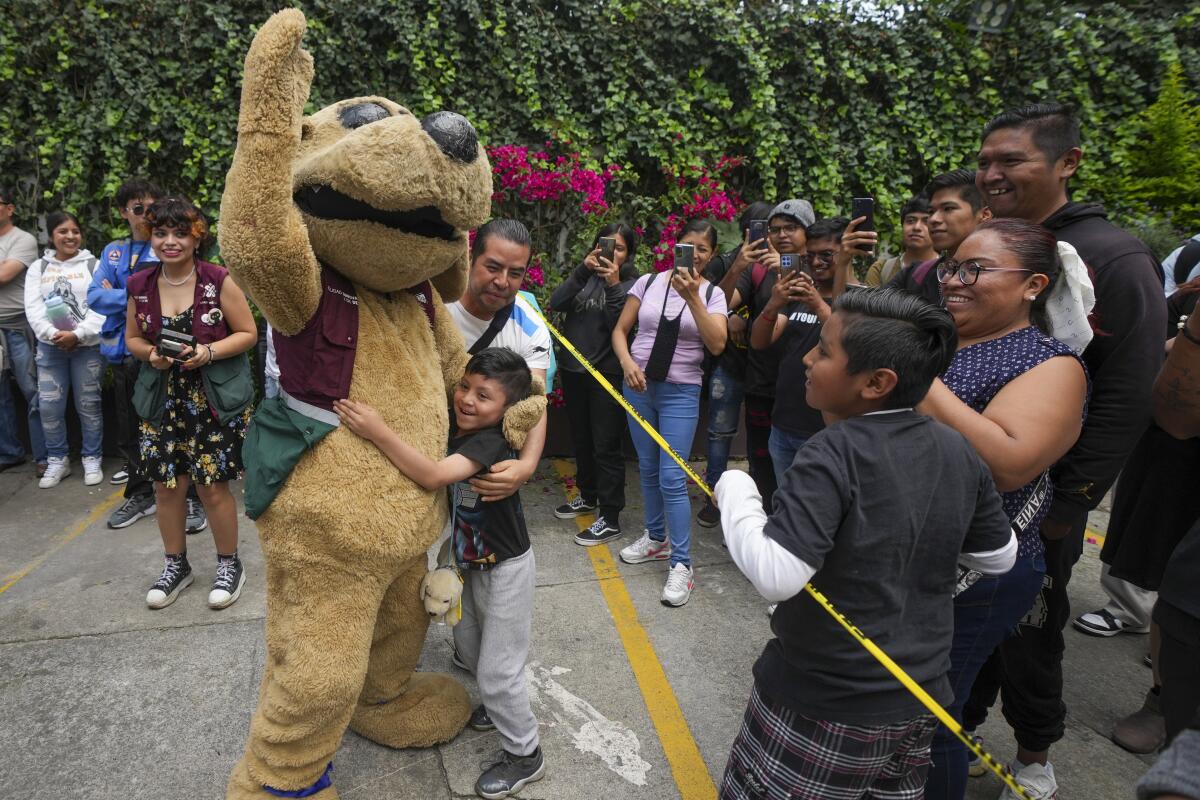 Un niño abraza a Wisin el "perrito luchador" 