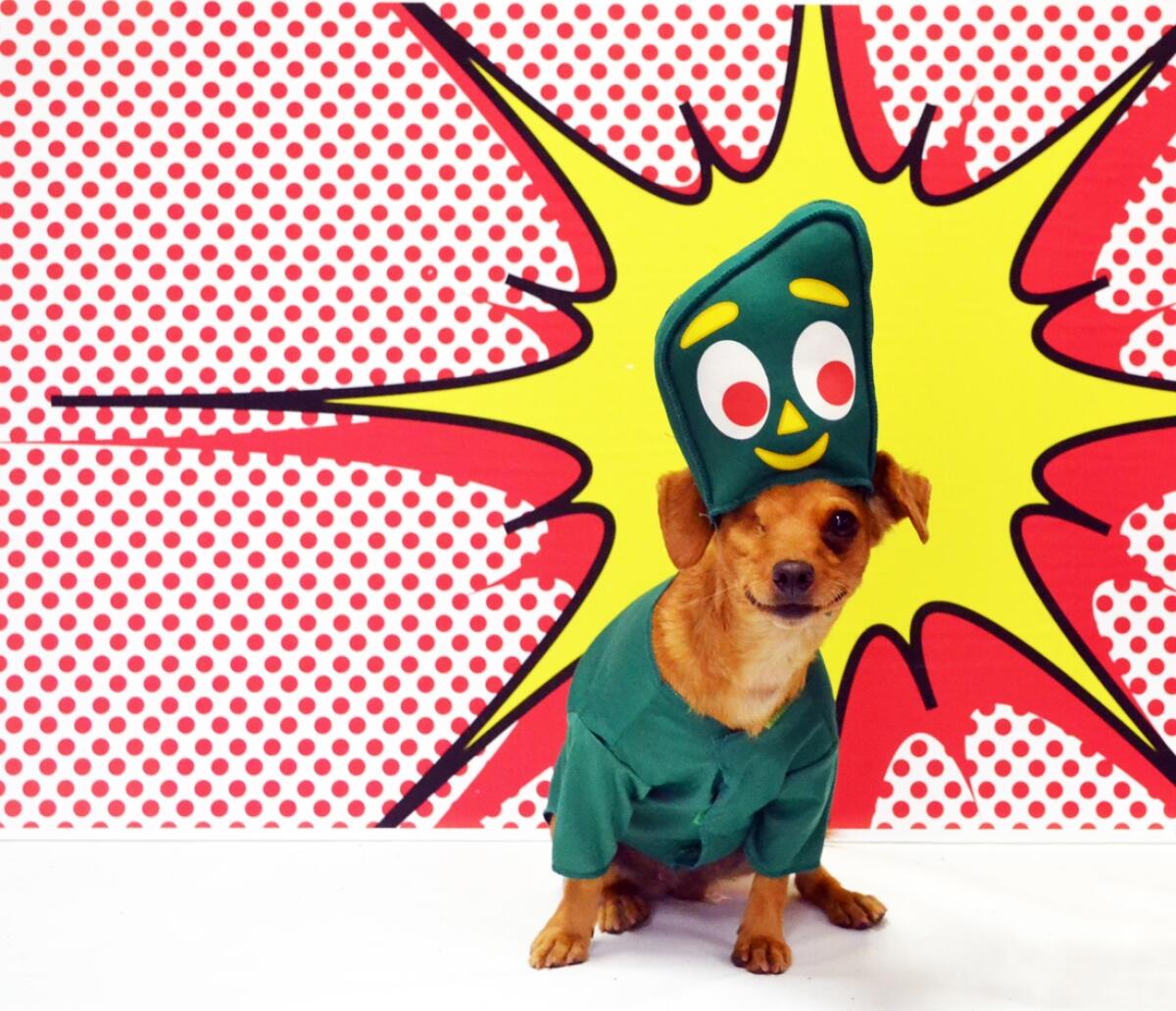 A dog dressed up as Gumby.