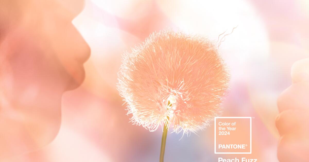 The 2024 Pantone Color of the Year is one 'you want to reach out and touch'