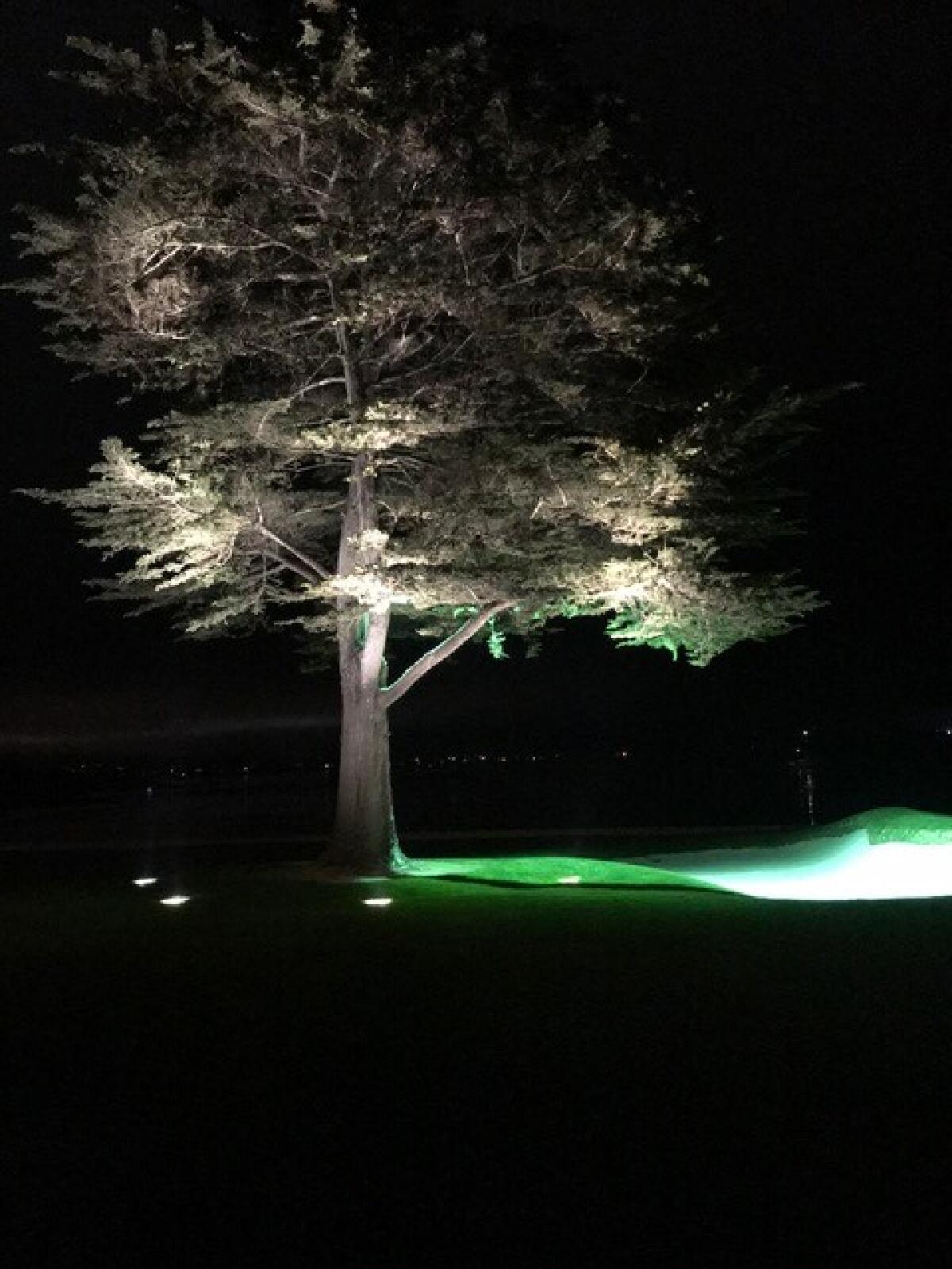 Pebble Beach was the first stop for the brothers, where they sprinkled ashes near the Cypress tree on the 18th fairway.
