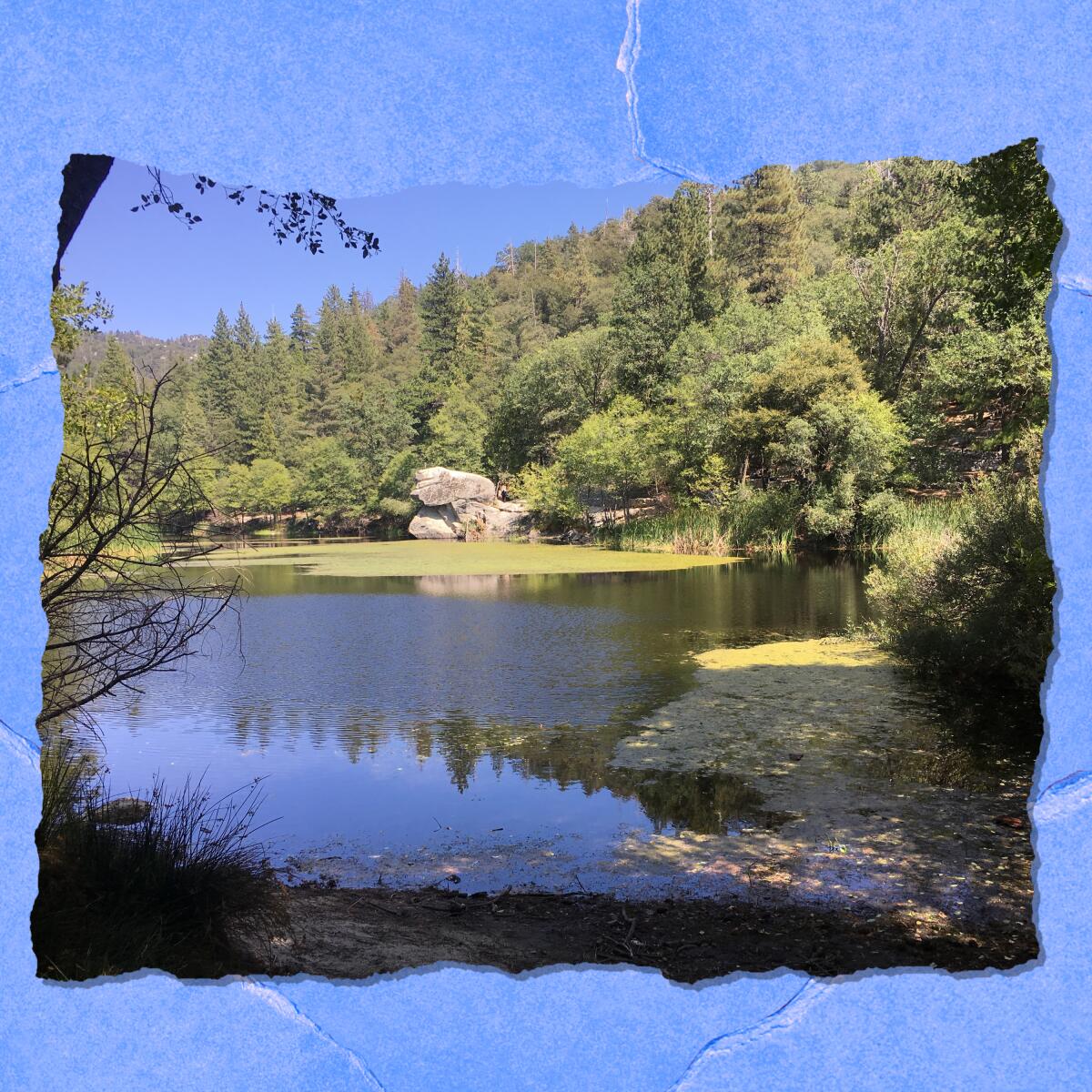 A view of a lake surrounded by tree-covered hills.