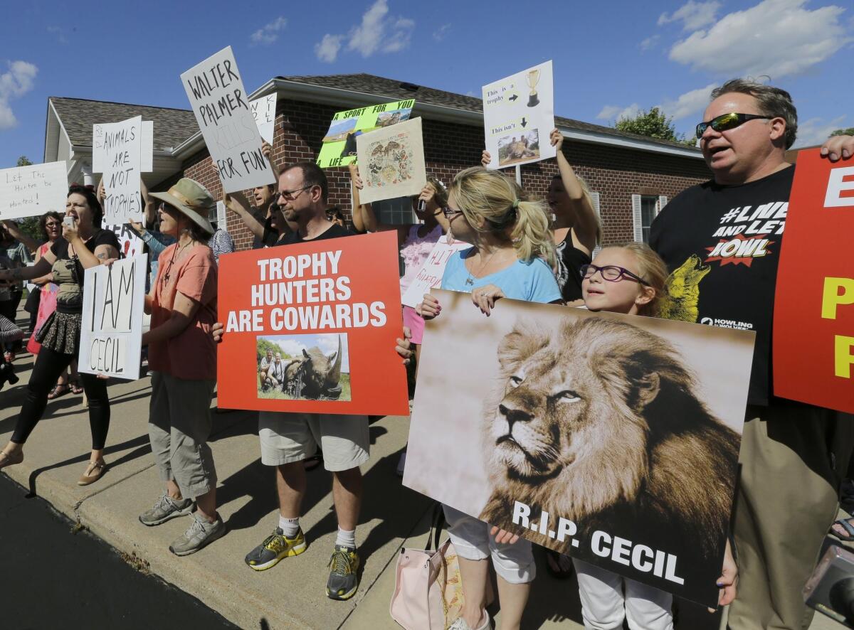 Protestors gather outside Walter Palmer's dental office in Bloomington, Minn., on July 29. Palmer reportedly paid $50,000 to track and kill Cecil, a black-maned lion, in Zimbabwe.
