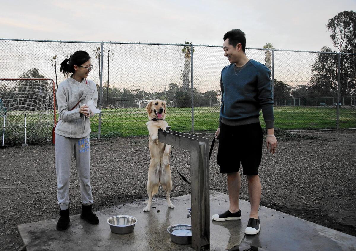 Evelyn Liu, left, and Lin Tian, who live in Santa Monica, visit the Brentwood dog park with their dog, Coco. The park is part of the Veterans Affairs Department’s West Los Angeles campus.