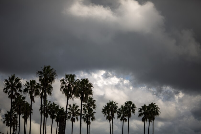 Beaches In L A County Evacuated Over Lightning Safety