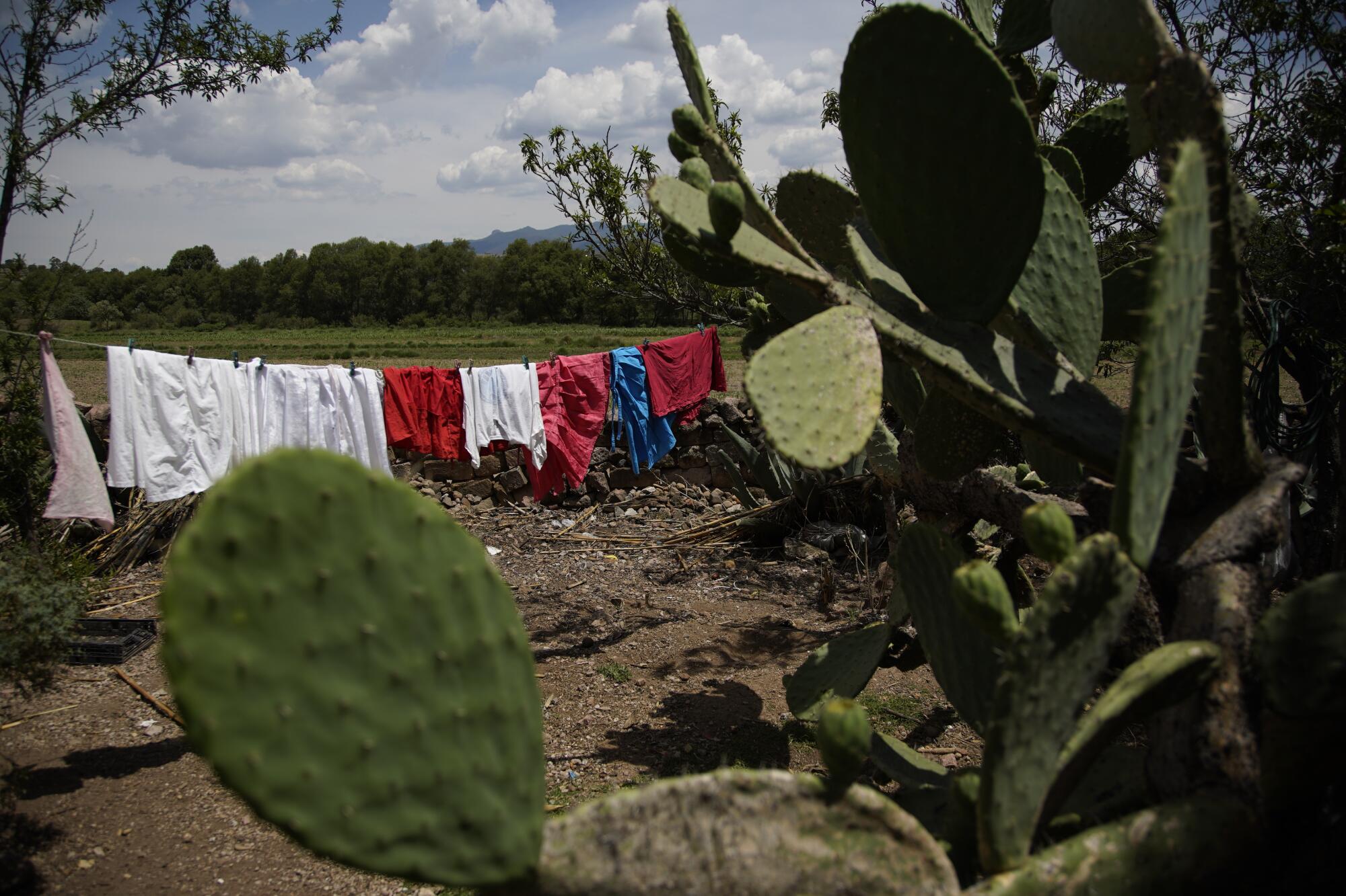 Ropa colgada para secar en el patio delantero de la casa en El Rincón de San Ildefonso.