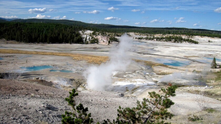 The Norris Geyser Basin in Yellowstone National Park, Wyo.